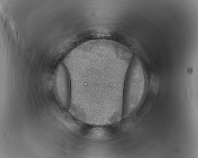 X0000111250704200907231553