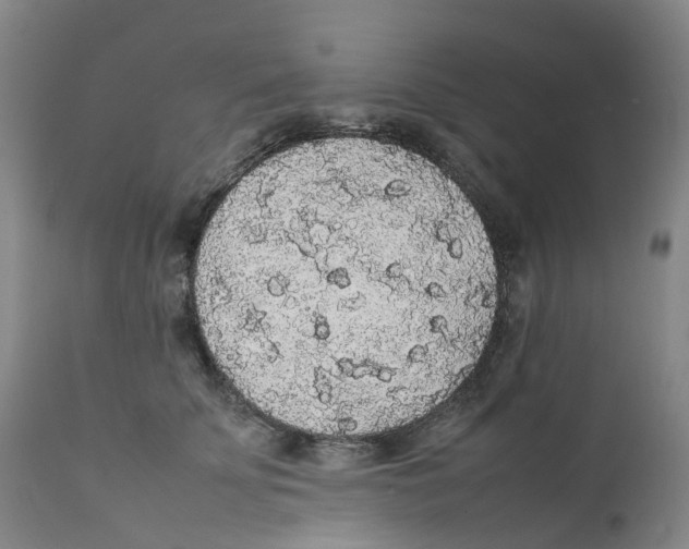 X0000111250707200907231553