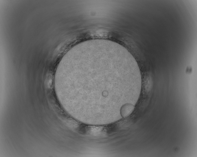 X0000111250709200907231553