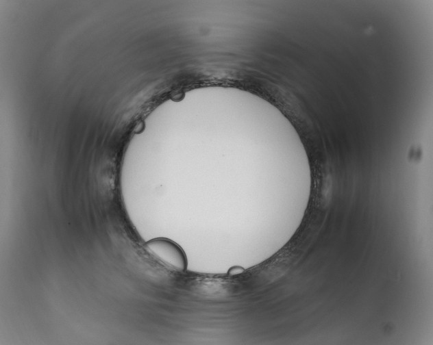 X0000111250710200907231553