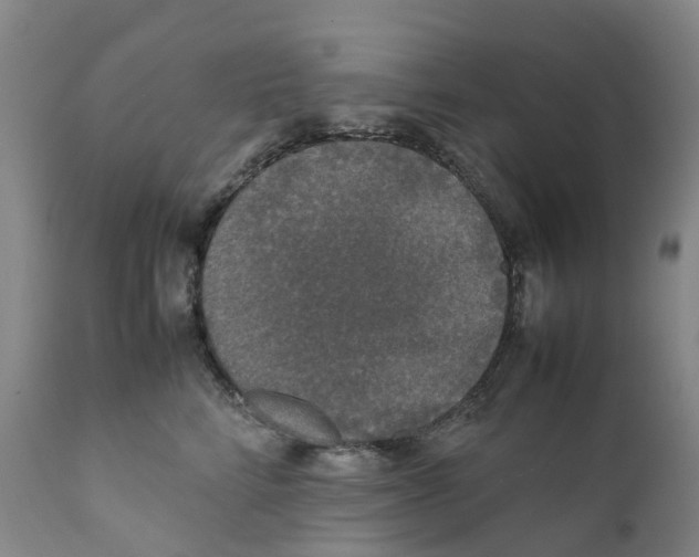 X0000111250712200907231553