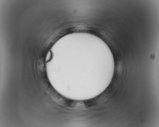 X0000111250715200907231553