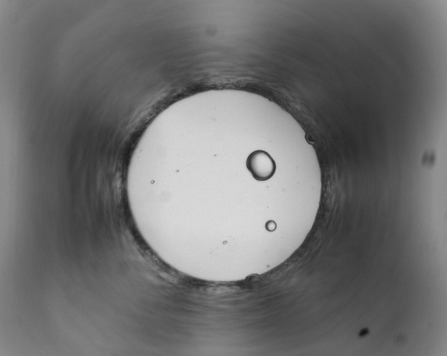 X0000111250716200907231553