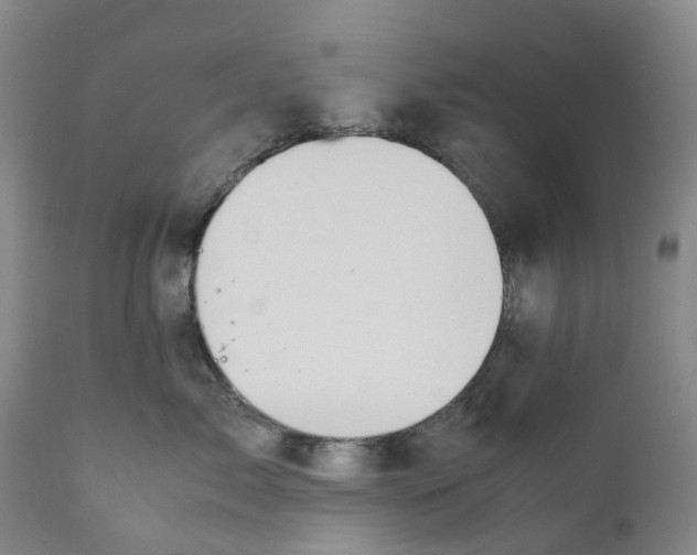 X0000111250717200907231553