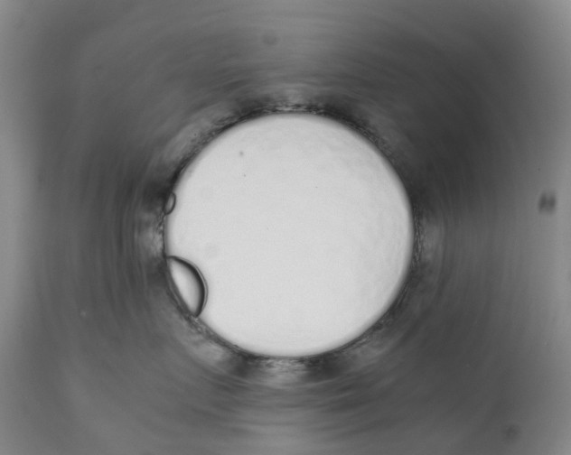 X0000111250719200907231553