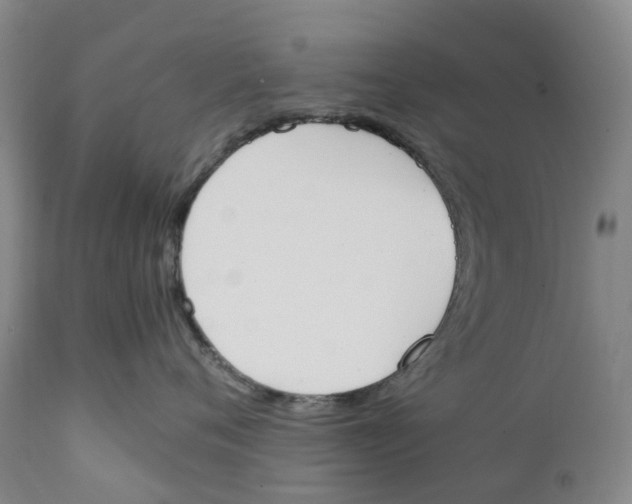 X0000111250720200907231553