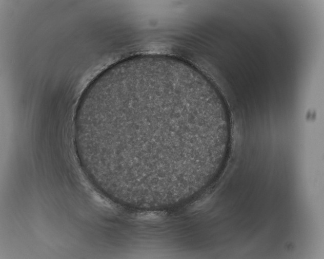 X0000111250721200907231552