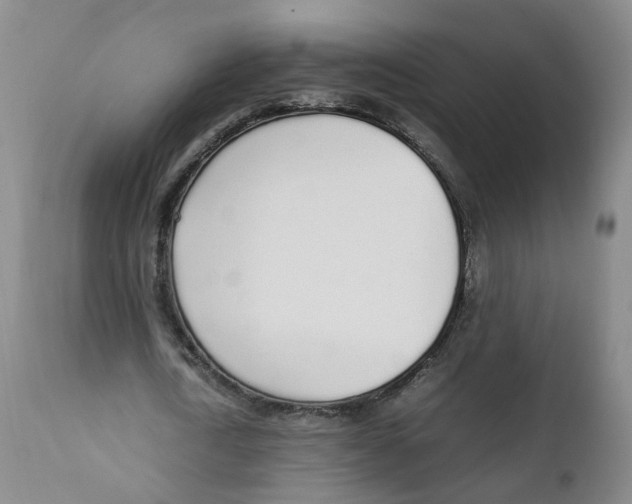 X0000111250722200907231552