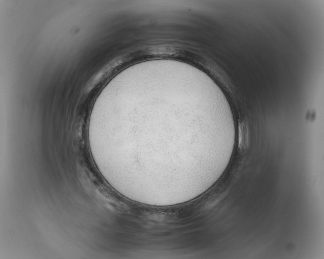 X0000111250723200907231552