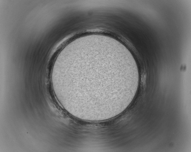 X0000111250724200907231552