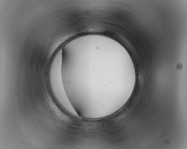 X0000111250725200907231552