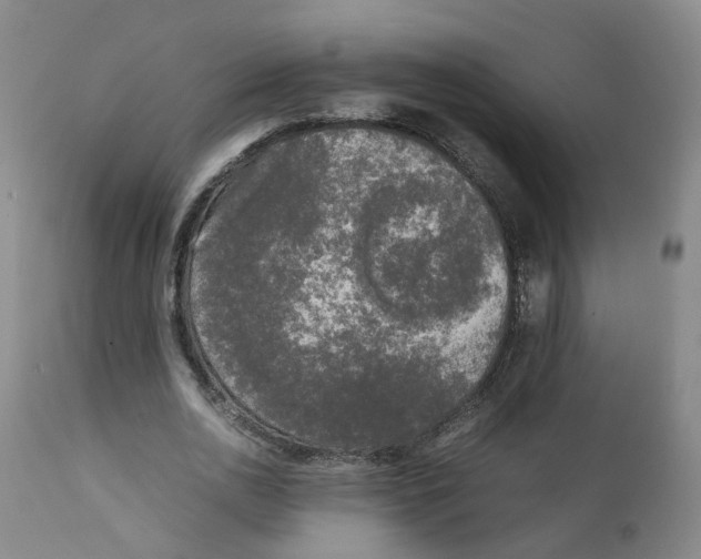 X0000111250726200907231552