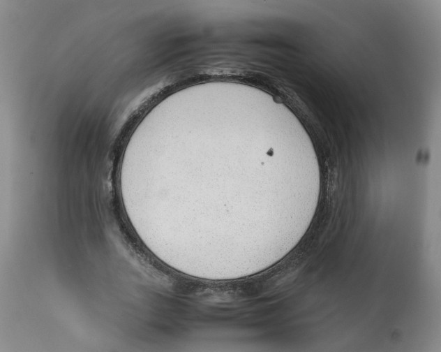 X0000111250727200907231552