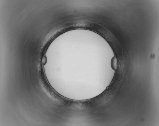 X0000111250728200907231552