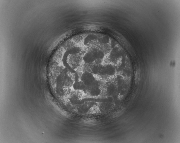 X0000111250729200907231552