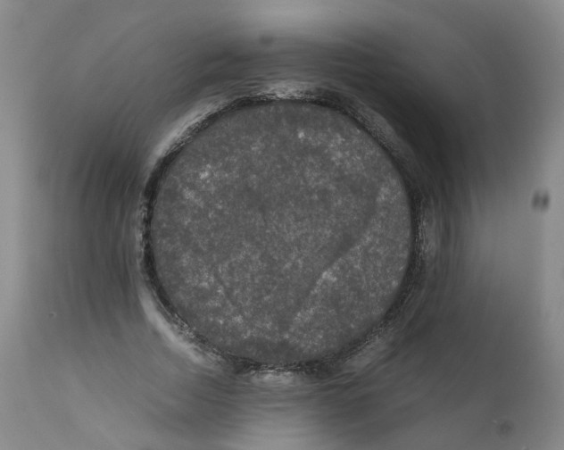 X0000111250730200907231552