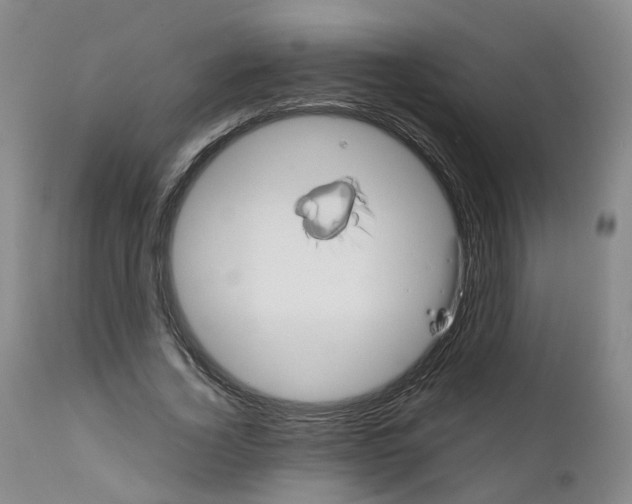 X0000111250732200907231552