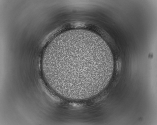 X0000111250733200907231552