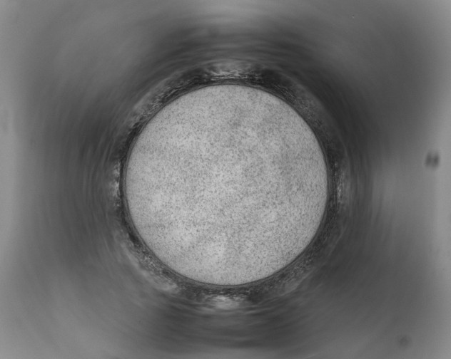 X0000111250737200907231552