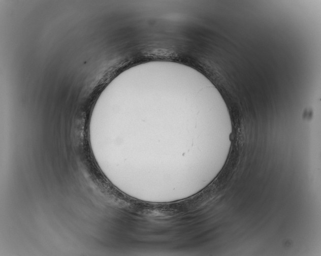 X0000111250739200907231552