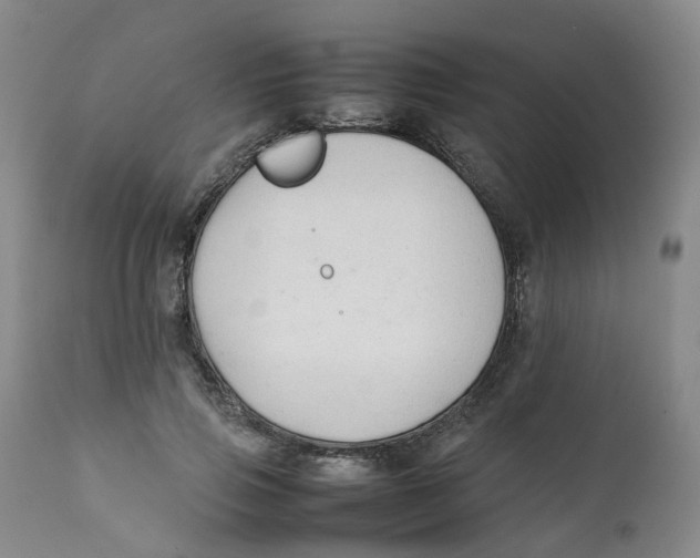 X0000111250741200907231552