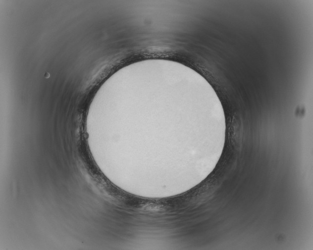 X0000111250742200907231552