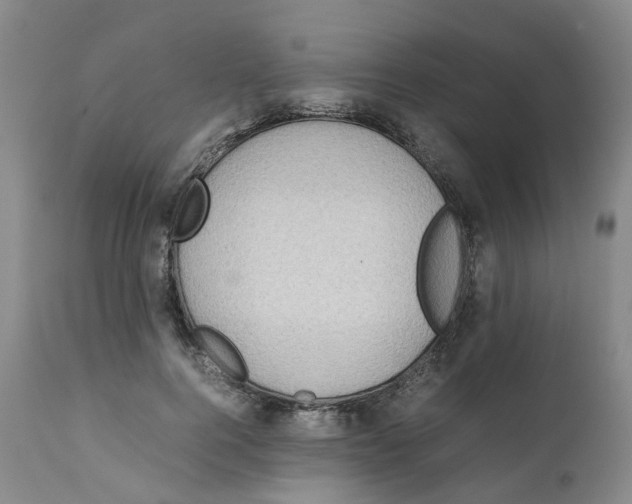 X0000111250744200907231552