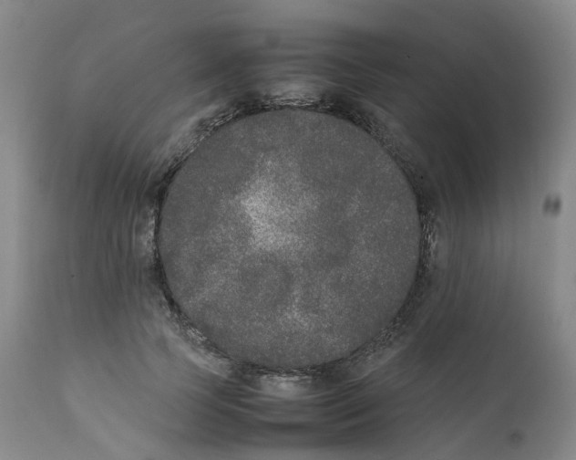 X0000111250745200907231552