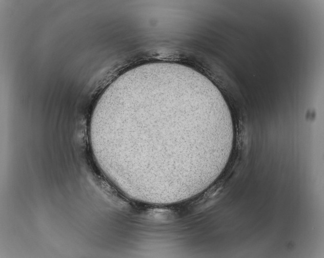 X0000111250748200907231552