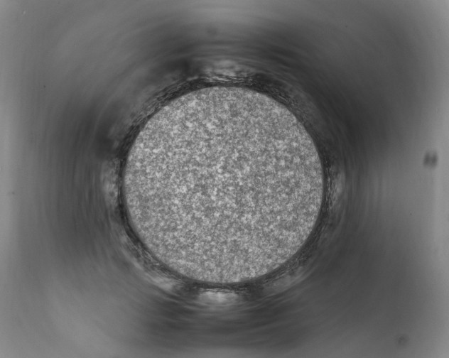 X0000111250749200907231552