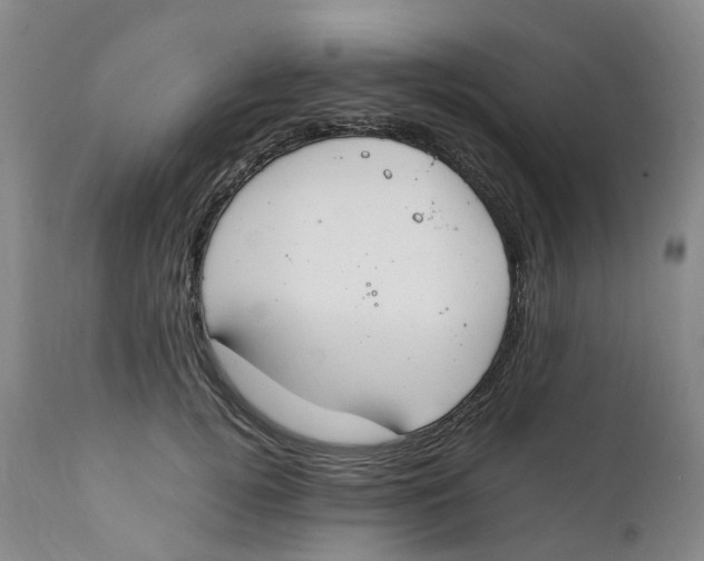 X0000111250752200907231552