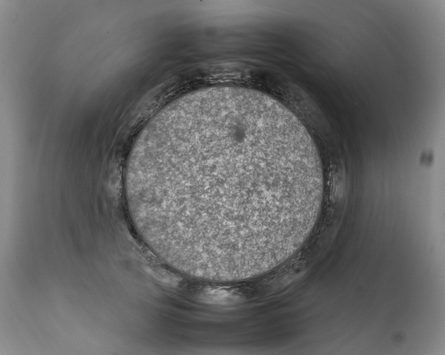 X0000111250753200907231552