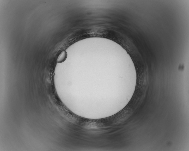 X0000111250755200907231553