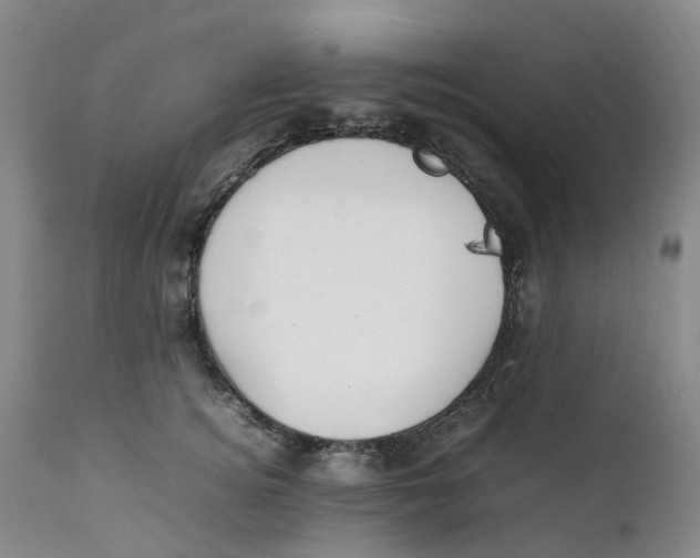 X0000111250756200907231553