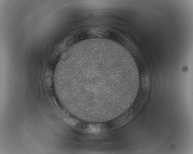 X0000111250757200907231553