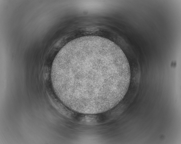 X0000111250758200907231553