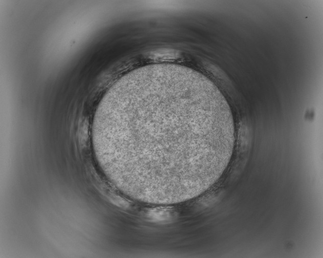 X0000111250761200907231553