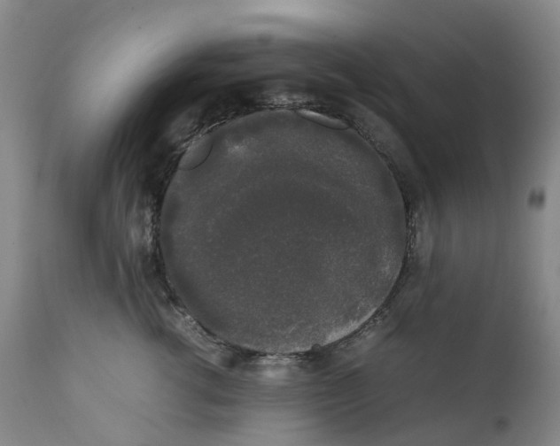 X0000111250762200907231553