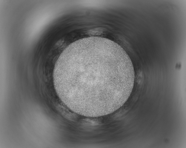 X0000111250763200907231553