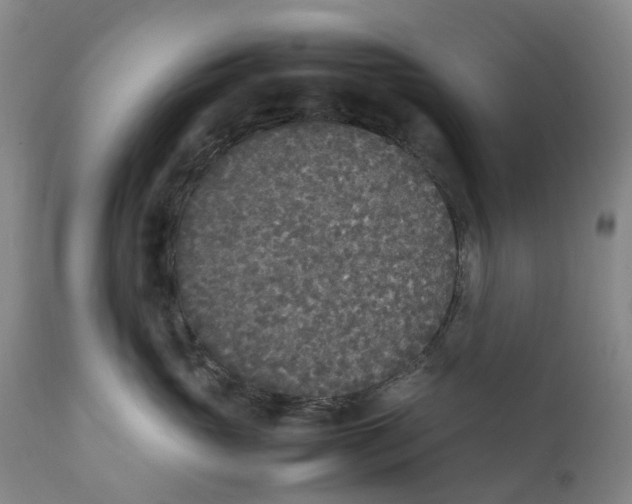 X0000111250765200907231553