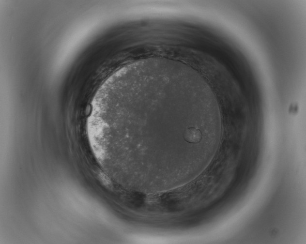 X0000111250766200907231553