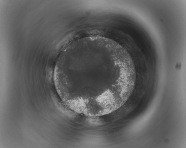 X0000111250767200907231553