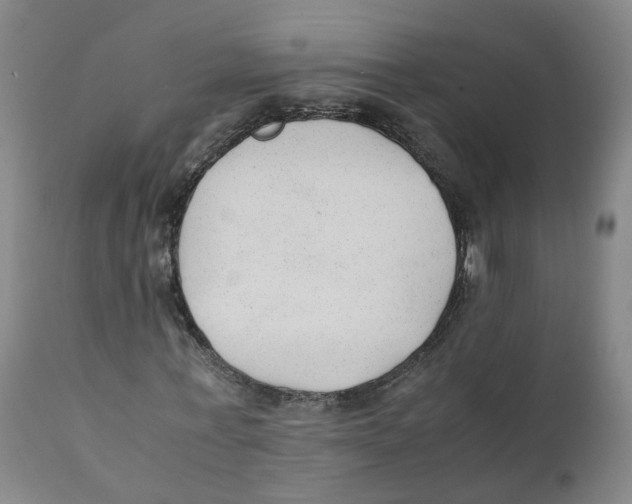 X0000111250771200907231552