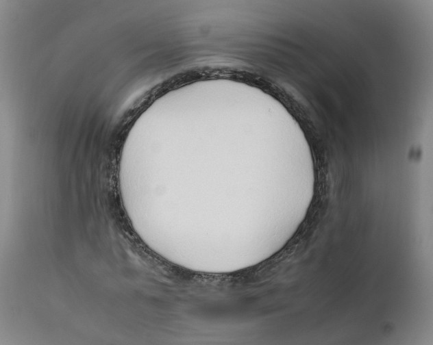 X0000111250775200907231552