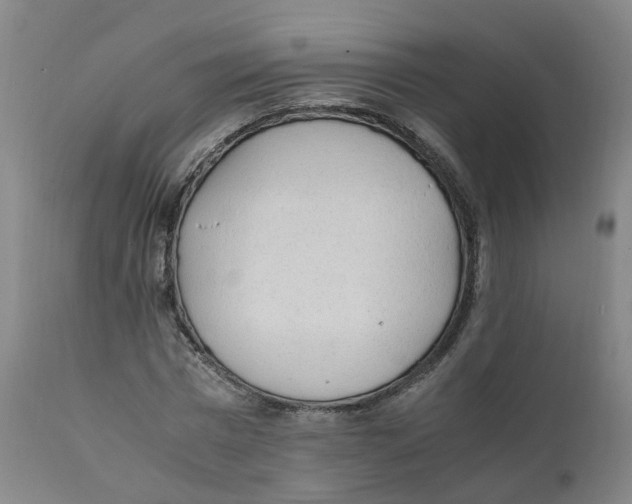 X0000111250777200907231552