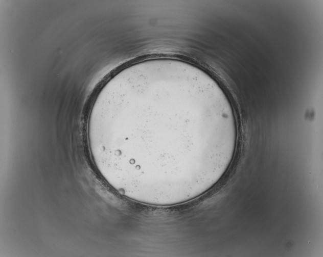 X0000111250779200907231552