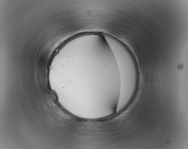 X0000111250781200907231552