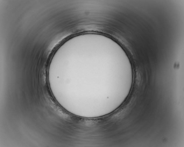 X0000111250782200907231552