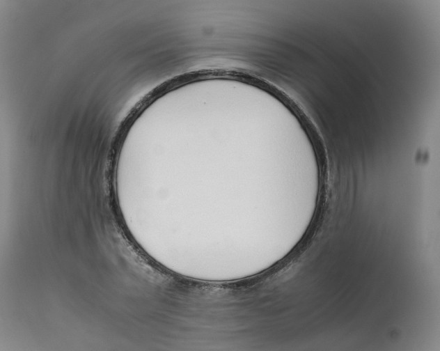 X0000111250783200907231552