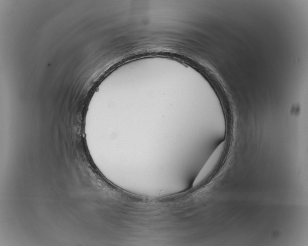 X0000111250785200907231552